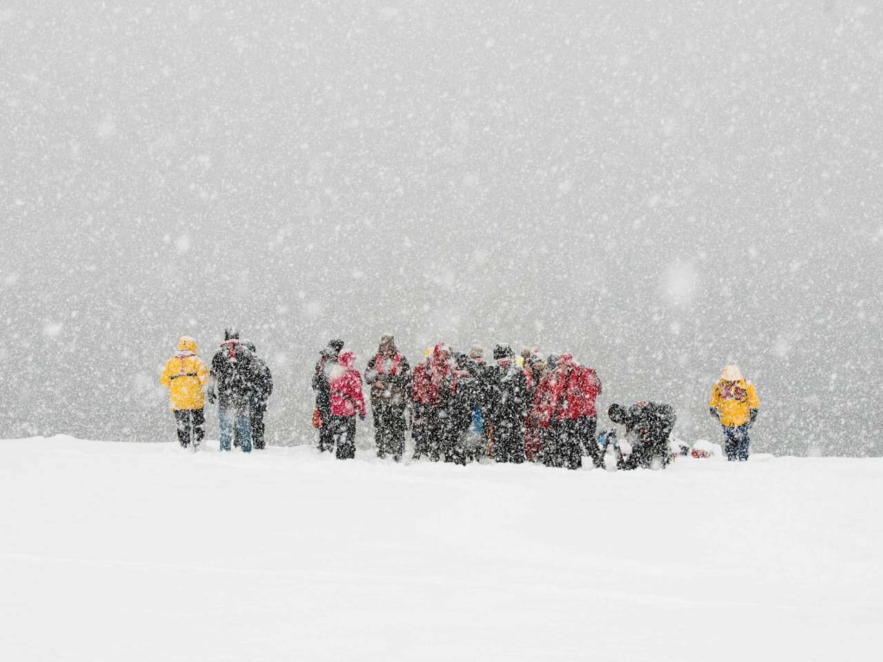 Snowstorm Polar Latitudes Senderos