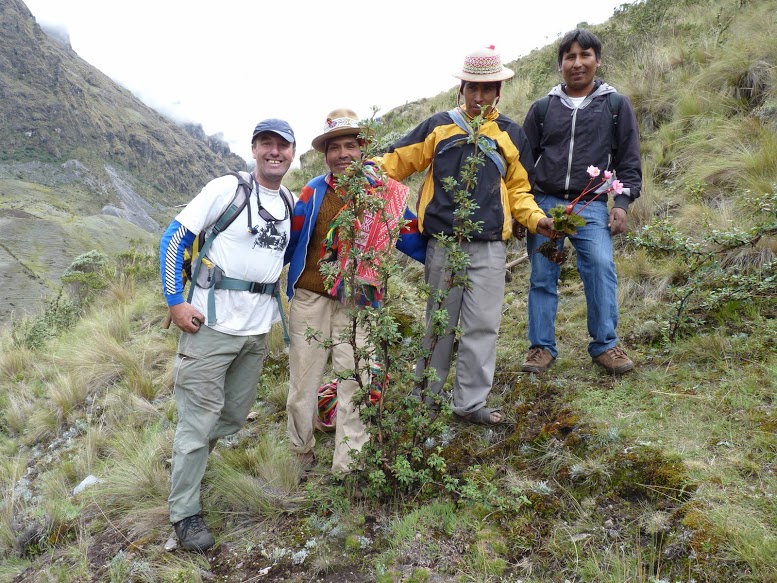 About offset row image