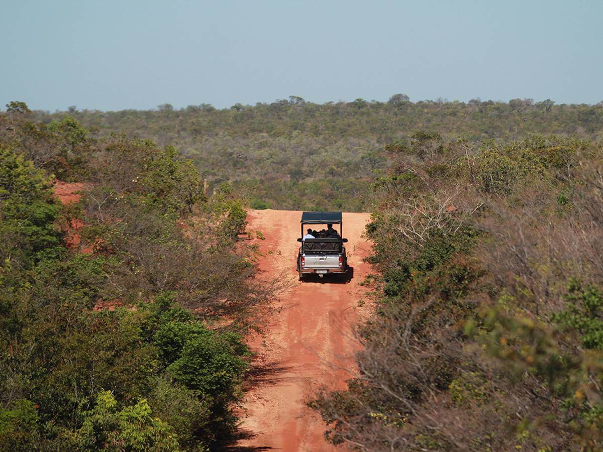 Pousada Trijunção - Brazil - Cerrado - Senderos