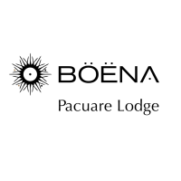 logo-icon