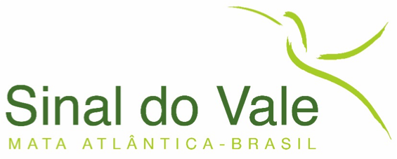 About offset row image