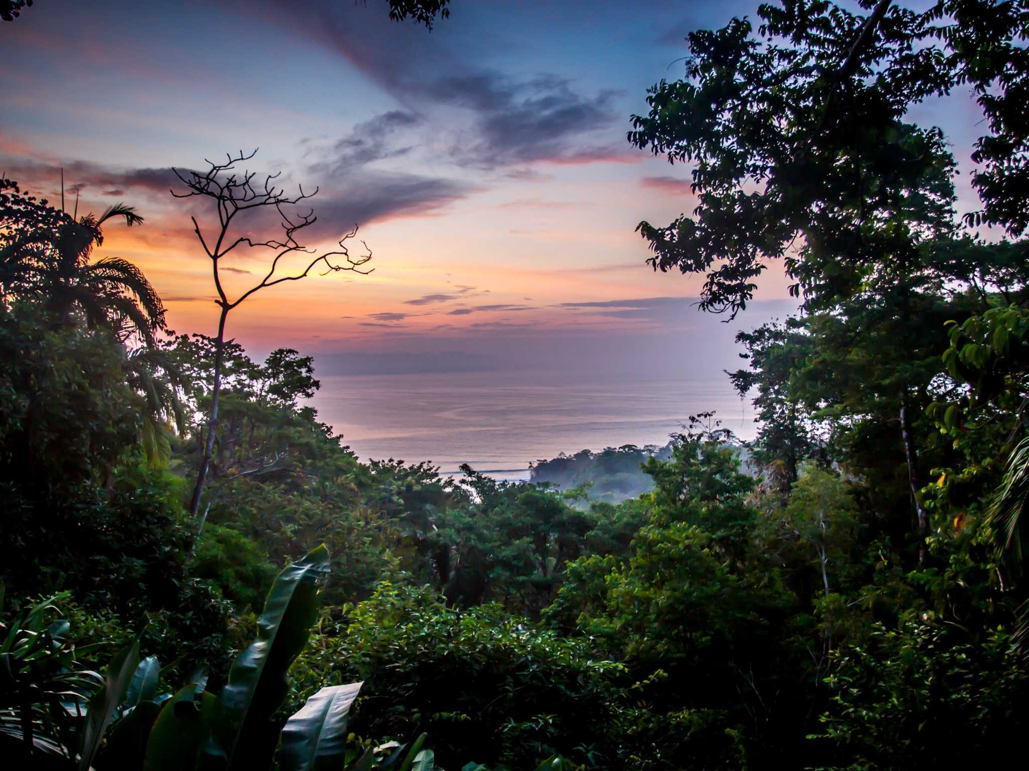 Lapa Rios Boena lodges Costa Rica